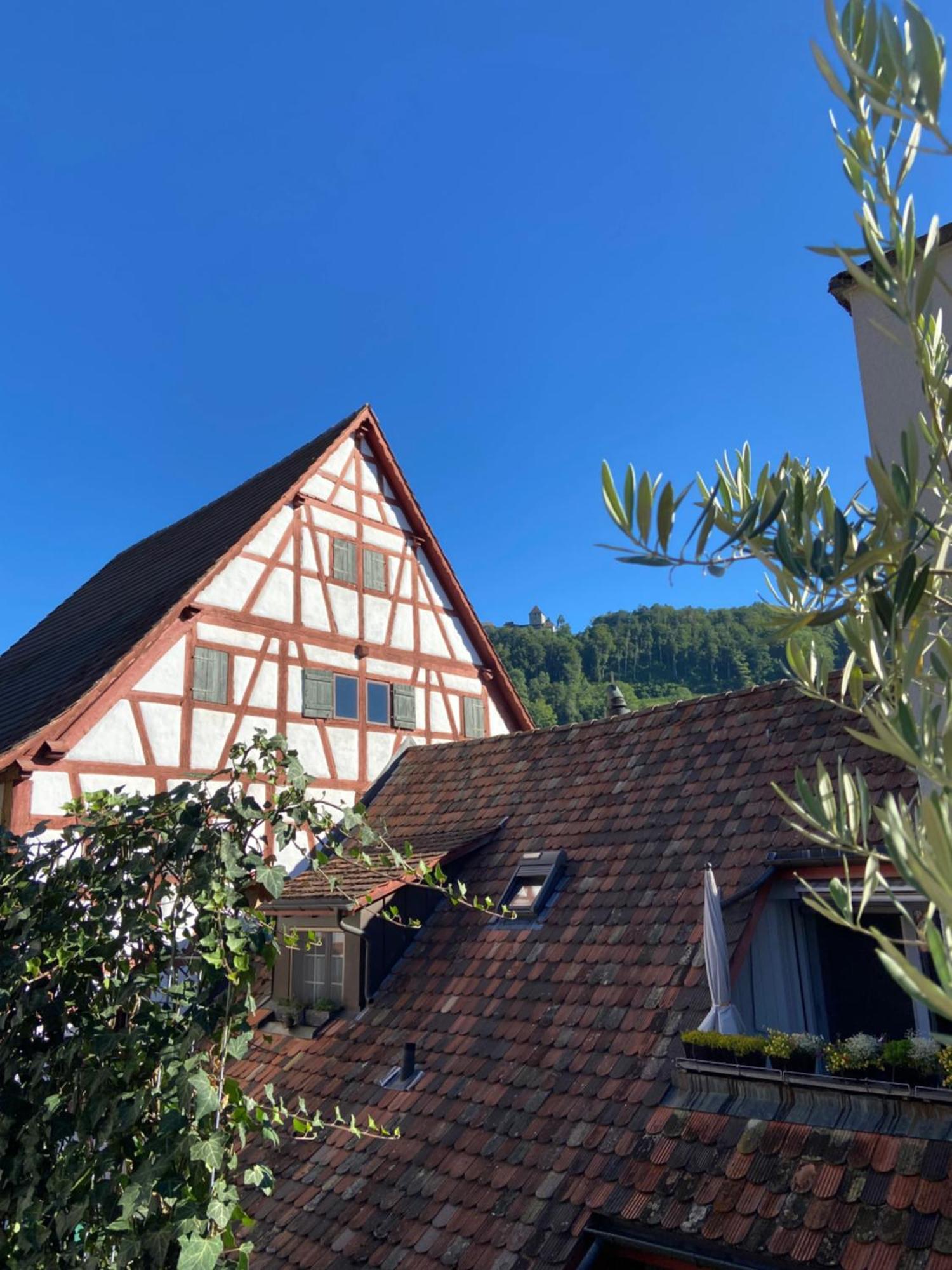 Understadt 14 Guesthouse Stein Am Rhein Dış mekan fotoğraf